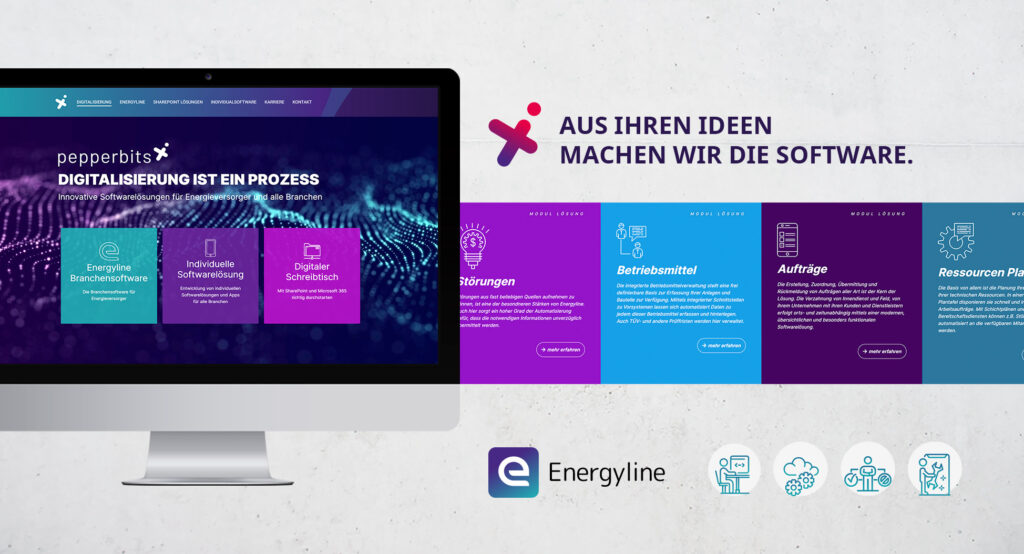 Klares Corporate Design, responsive Website und strukturierte Content-Architektur – Agentur Schweiger steigert Sichtbarkeit für spezialisierte B2B-Software